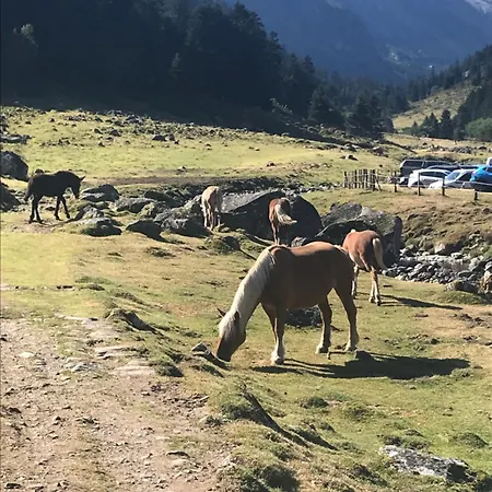 아파트 5 Personnes Proche Centre Et Thermes *