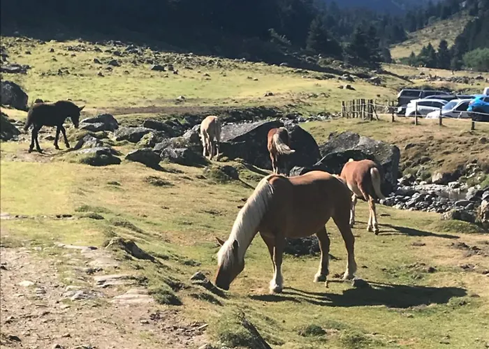 Appartement 5 Personnes Proche Centre Et Thermes *